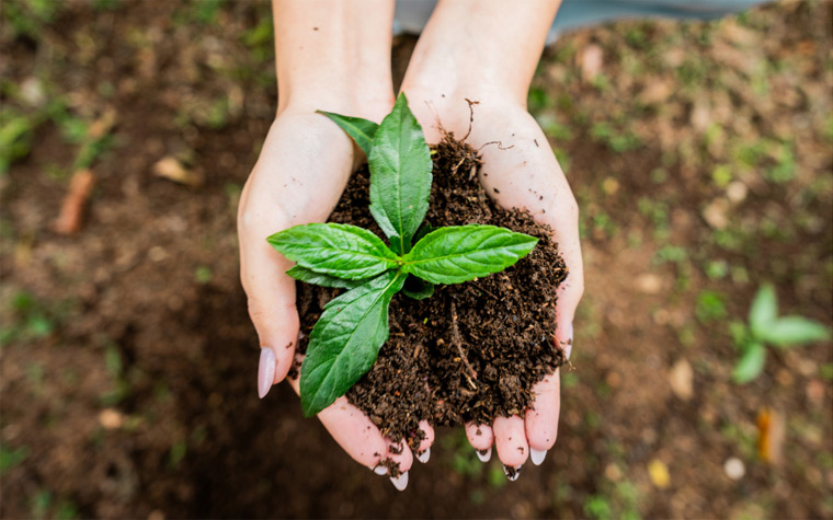 Master of Arts in Education for Sustainability 