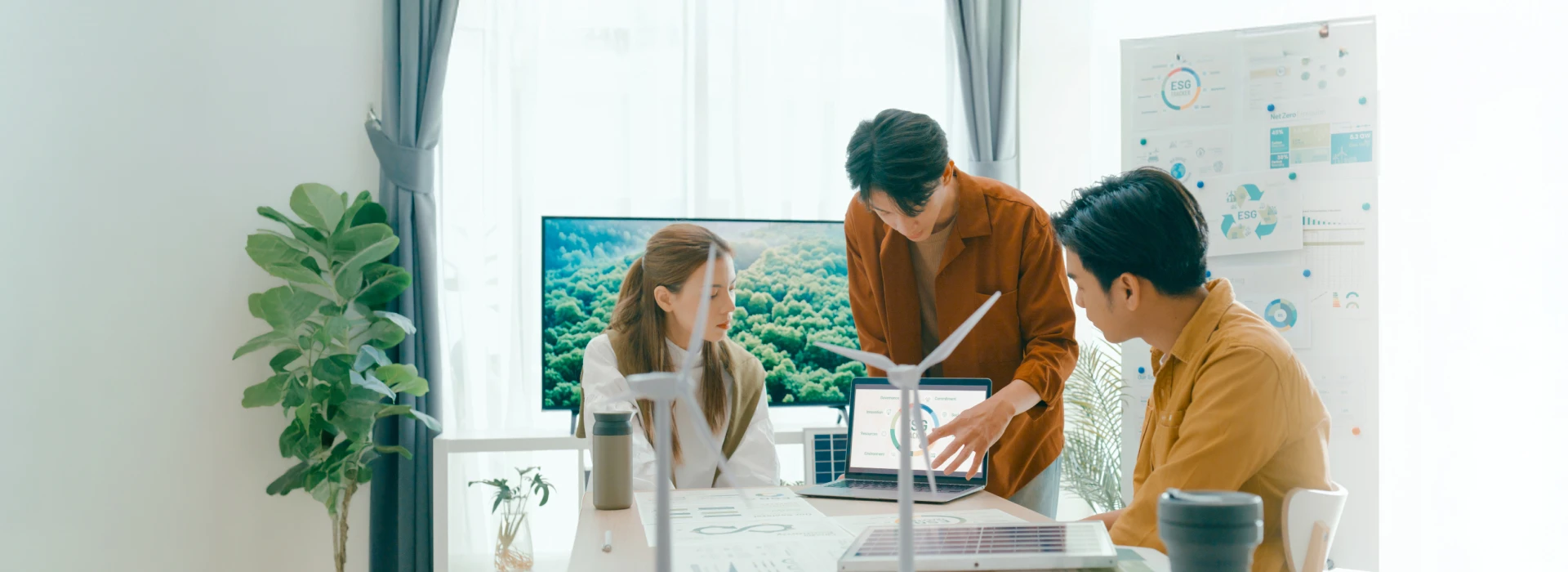 Undergraduate Programmes